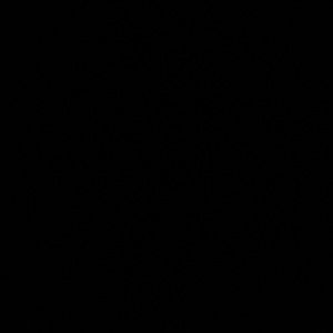 Meet your Posher, Yareli